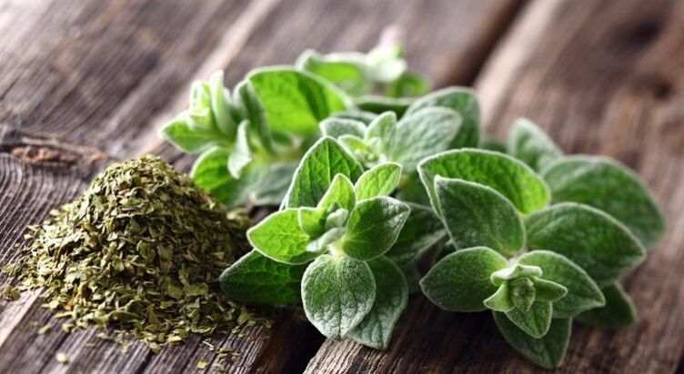 Oregano is very active against parasites